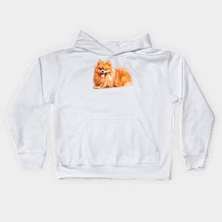 Cute Red Pomeranian Kids Hoodie